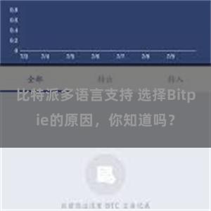 比特派多语言支持 选择Bitpie的原因，你知道吗？