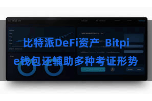 比特派DeFi资产  Bitpie钱包还辅助多种考证形势