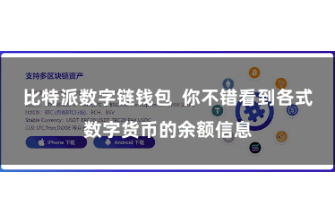 比特派数字链钱包  你不错看到各式数字货币的余额信息